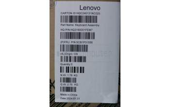 Lenovo 5CB1P31556 C-Cover with keyboard, Czech Slovakian, Arctic Grey, UK