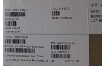 Lenovo 5CB1P73933 C-Cover with keyboard, German, Luna Grey, Fingerprint, UK