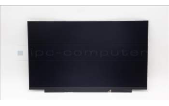 Lenovo 5D11D69020 DISPLAY FRU AU B156HAK02.H 0A FHDI AG