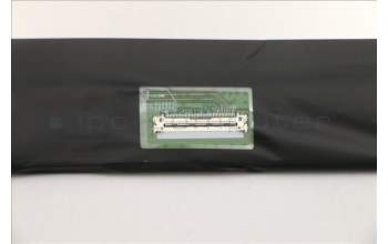 Lenovo 5D11E04081 Lenovo DISPLAY, 15.6\", FHD, Touch, Anti-Glare, IPS, 300nit, 45%NTSC