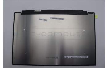 Lenovo 5D11K18959 Lenovo DISPLAY,16\",3.2K,Non_Touch,Anti-Glare,IPS,400nit,100%DCI-P3