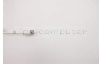 Lenovo 5D50U84490 Keyboard External, USB, Russian Cyrillic, White, Non Backlight