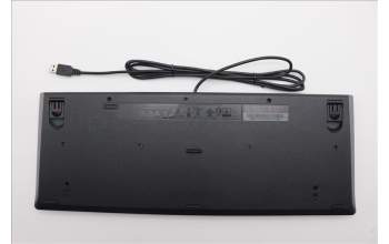Lenovo 5D50U84617 AI Keyboard External,USB,Ukraine,Black