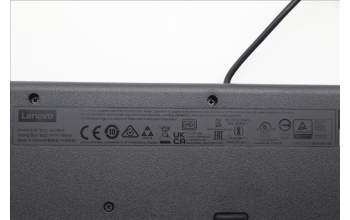 Lenovo 5D50U84650 AI Keyboard External,USB,Swiss French/German,Black