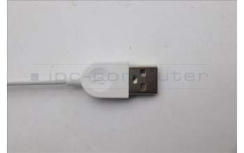 Lenovo 5D50U84764 AI Keyboard External,USB,Czech/Slovakian,White