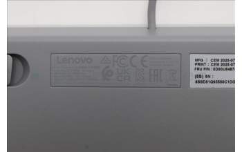 Lenovo 5D50U84874 Keyboard External, USB, French, Cloud Grey