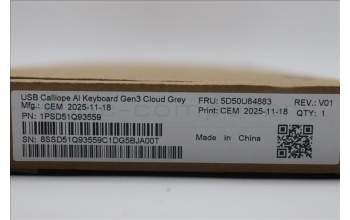 Lenovo 5D50U84883 Keyboard External, USB, Italian, Cloud Grey