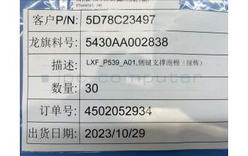 Lenovo 5D78C23497 9QGH1 Side_Key_Foam&*5430AA002838 CS