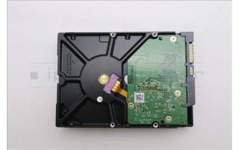 Lenovo 5H21C73436 HDD_ASM FRU WD 3.5 7.2K SATA Rainier 2T