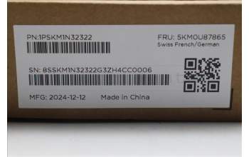 Lenovo 5KM0U87865 Keyboard_Mouse,2.4G,Swiss French/German,Luna Grey