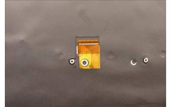 Lenovo 5M11J12750 C-Abdeckung mit Tastatur, Schwedisch/Finnisch, Schwarz, WLAN