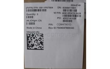 Lenovo 5M11P87904 C-Cover with keyboard, Switzerland, Black, Backlight, WWAN, WLAN, UK