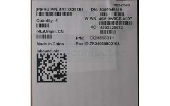 Lenovo 5M11S29881 C-Cover with keyboard, US English Euro, Luna Grey, Non-Backlight, Heat Staking, US