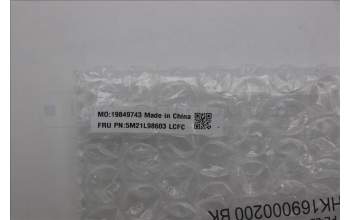 Lenovo 5M21L98603 FRU P16SG3 DUMMY SCR