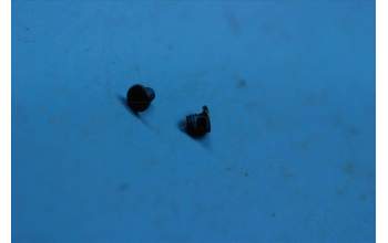 Lenovo 5M88C07077 YB-Q501 Screw&*HQ22110063000 CS