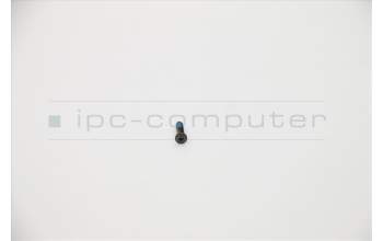 Lenovo 5S10S35164 SCHRAUBE 81Q9 M 2,0 D 7,1 L K 3,15 D 0,3 T IG