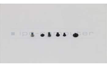 Lenovo 5S10S73269 Schraubenset L 81C4