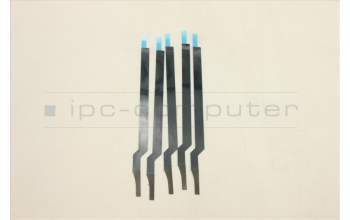 Lenovo 5T10S33094 Austauschbares Band C 81XE R/L