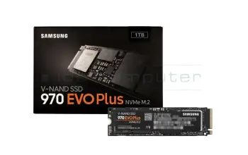 Substitut für Lenovo 5SS0W79498 PCIe NVMe SSD Festplatte 1TB (M.2 22 x 80 mm)