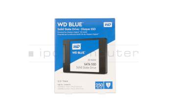 Western Digital Blue WDS250G2B0A SSD Festplatte 250GB (2,5 Zoll / 6,4 cm)