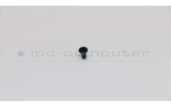 Lenovo 90205222 ACLU1ScrewD-SYSIDHole/ThmDoor-SYS