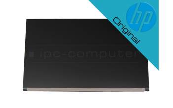 AU Optronics M215HAN01.1 IPS Display FHD (1920x1080) matt 60Hz inkl. Einbau