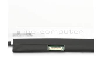 Alternative für AU Optronics B173RTN02.1 TN Display HD+ (1600x900) glänzend 60Hz