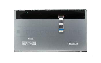 Asus 18010-21500700 original Display (1920x1080) matt