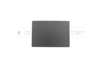 Asus ExpertBook P2 P2540UV Original Touchpad Abdeckung schwarz