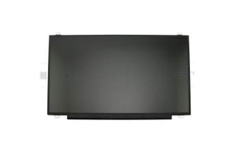 DLS17A Display (1600x900) matt slimline
