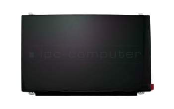 HP Envy m6-1140ec (C2C00EA) TN Display HD (1366x768) matt 60Hz