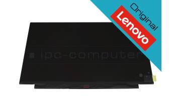 Lenovo 02HL700 original TN Display HD (1366x768) matt 60Hz