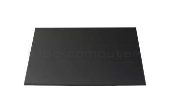 Lenovo 5D11J74773 original IPS Display WUXGA (1920x1200) matt 60Hz