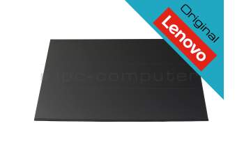 Lenovo B160UAN05.A original IPS Display WUXGA (1920x1200) matt 60Hz