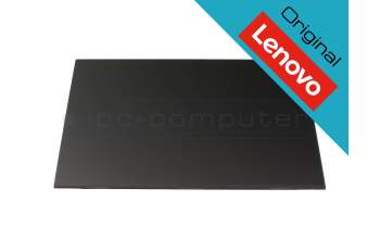 Lenovo Legion 7-16IAX7 (82TD) Original IPS Display WQXGA (2560x1600) matt 60Hz