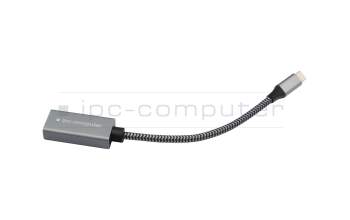 Lenovo Legion Pro 5 16IRX10 (83NN) USB-C zu DP Adapter