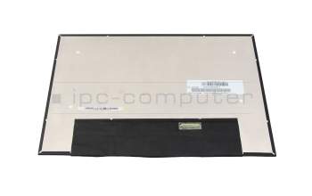 Lenovo ThinkPad T14s Gen 4 (21F8/21F9) Touch IPS Display WUXGA (1920x1200) matt 60Hz