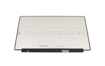 Medion Erazer Deputy P25 (NH55EPY) IPS Display FHD (1920x1080) matt 165Hz