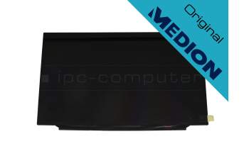 Medion Erazer X17803 (GK7CP0S) Original IPS Display FHD (1920x1080) matt 144Hz (40Pin)