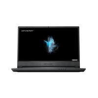 Medion Erazer P15601 (NH55RHQ-M) Ersatzteile