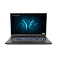 Medion Erazer Defender P10 (NH77DDW-M) Ersatzteile