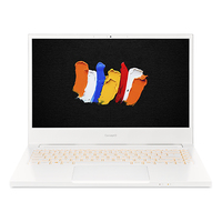 Acer ConceptD 3 (CN314-72) Ersatzteile