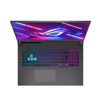 Asus ROG Strix G17 G713QE Ersatzteile