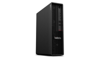 Lenovo ThinkStation P350 Workstation (30E5) Ersatzteile