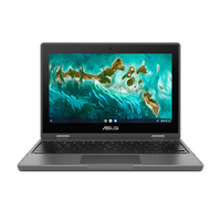 Asus Chromebook CR1 CR1100FKA Ersatzteile