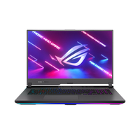 Asus ROG Strix G17 G713RM Ersatzteile