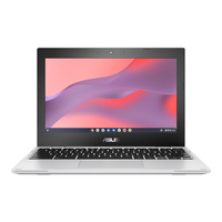 Asus Chromebook CX1 CX1102CKA Ersatzteile