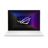 Asus ROG Zephyrus G16 GU603VI Ersatzteile