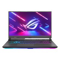 Asus ROG Strix G17 G713PI Ersatzteile