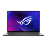 Asus ROG Zephyrus G16 GU605MZ Ersatzteile